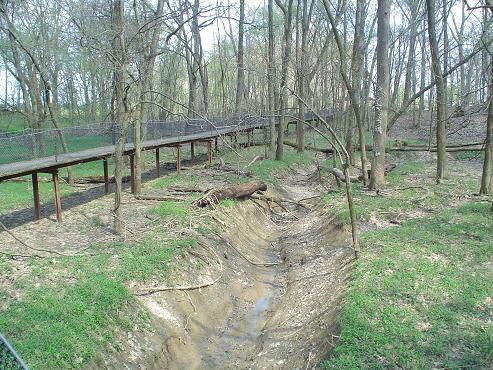 Panther creek park christmas lights