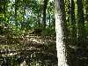 DSC02644_small.jpg