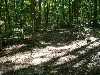 DSC02645_small.jpg