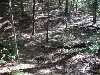 DSC02646_small.jpg