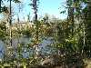 DSC02649_small.jpg