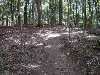 DSC02652_small.jpg
