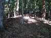 DSC02653_small.jpg